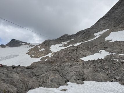 Foto da Grizzli lungo il tour