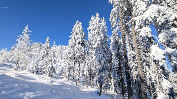 Fotografie z TaNja85 na trase