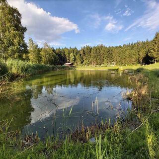 Fischteich Passail, Naturpark Almenland in der Oststeiermark