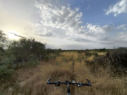 Foto von WilliSt entlang der Tour