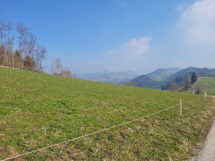Photo de Rainer Ahrens 1 le long du parcours