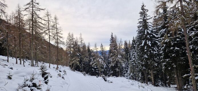 Zdjęcie z Magda wzdłuż trasy
