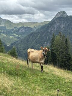 Foto von Ilka Löser entlang der Tour