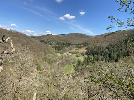 Blick ins Gelbachtal