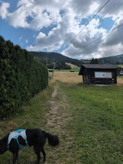 Photo de Benjamin Bergmann le long du parcours