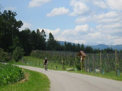 Radeln am Höhenrücken von Prebuch, Oststeiermark