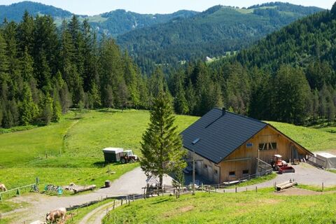 Sattelalpe