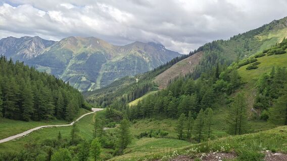 Foto von Gustl entlang der Tour