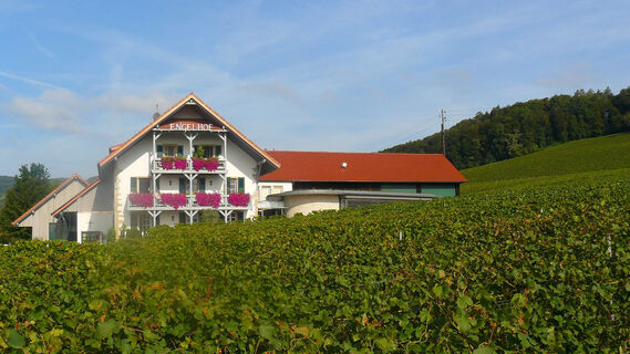 Der Engelhof