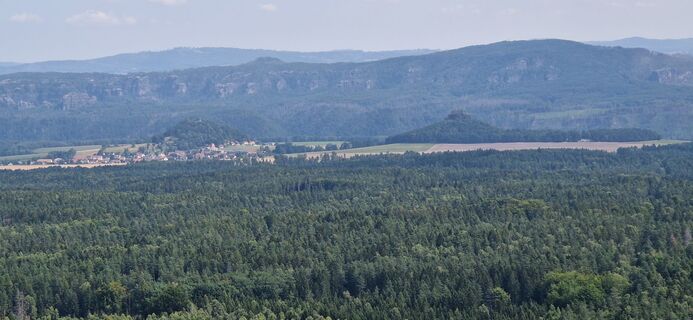Foto de Ronny Kalusa a lo largo del recorrido