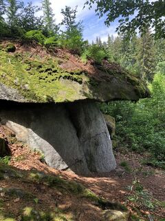 Foto von Jan Greinecker 1 entlang der Tour