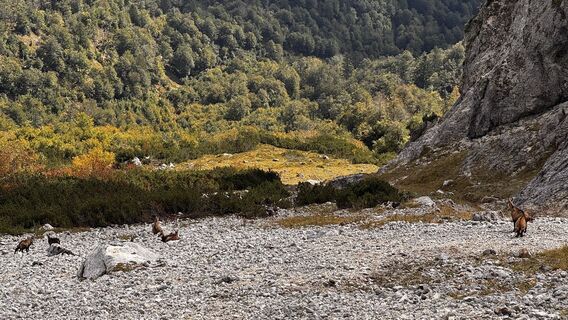 Photo de Simon Beisheim 1 le long du parcours