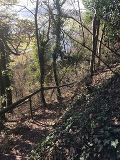 Photo de Ruud Oligschlager le long du parcours