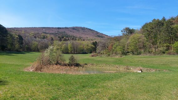Foto von Johann Neubauer entlang der Tour
