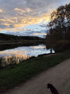 Foto von Horváth Ernő entlang der Tour