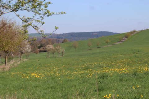 Foto von Günter Kleutsch entlang der Tour