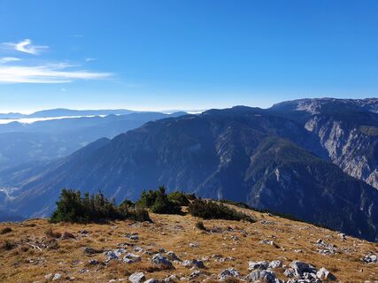 Fotografija s spletne strani Imre Majerik na poti