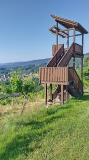 Photo de bergwolfi le long du parcours