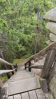 Fotografija s spletne strani damilaja242 na poti