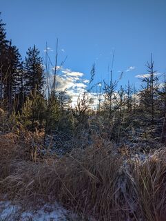 Fotografia z Michael Hell 1 na trase