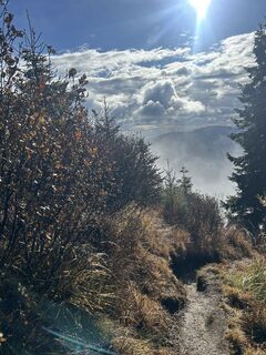 Foto von Carola Krems entlang der Tour