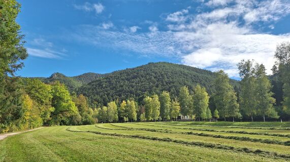 Foto von Regina Fleischmann entlang der Tour