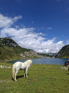 Photo de Christian Karner 2 le long du parcours