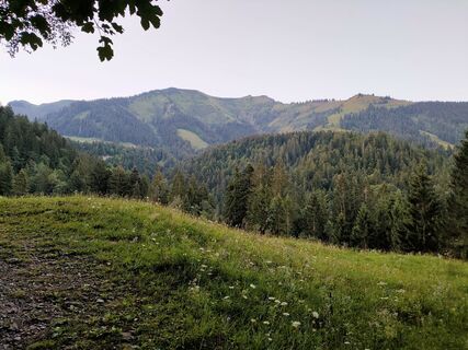 Photo de Marco Bereuter le long du parcours