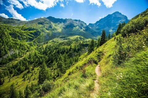 Weg zum Moaralmsee