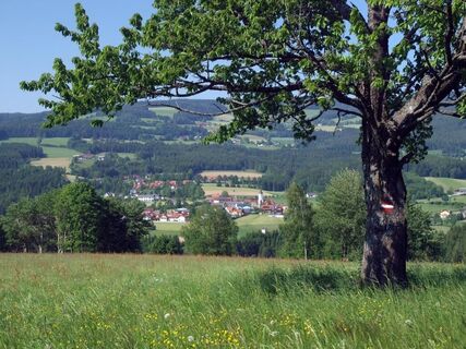 Rundumblick_Natur_Miesenbach_Oststeiermark
