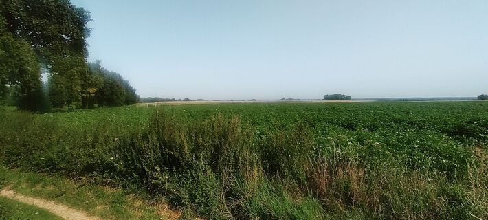 Fotografie z Niek Werf na trase