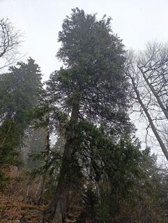 Foto von chaos3333 entlang der Tour