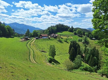 Foto von Isabella Peinsold-Klammer entlang der Tour