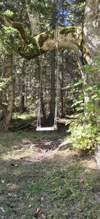 Foto von Sandy entlang der Tour