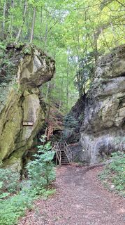 Foto de Peter Luger a lo largo del recorrido