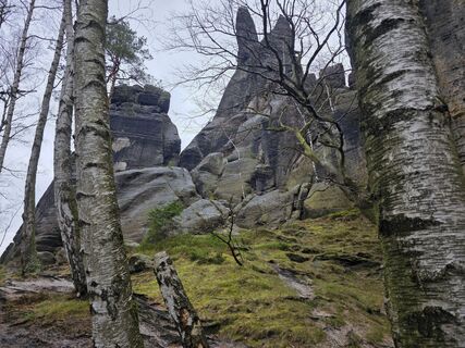 Foto de Peter Griesbach a lo largo del recorrido