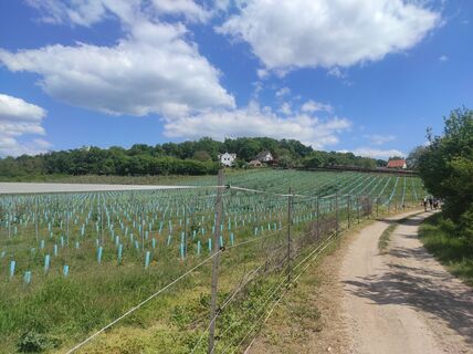 Photo de Làszló Visi le long du parcours