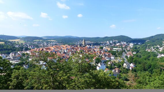 Altstadt Bad Wildungen von Schloss Friedrichstein 