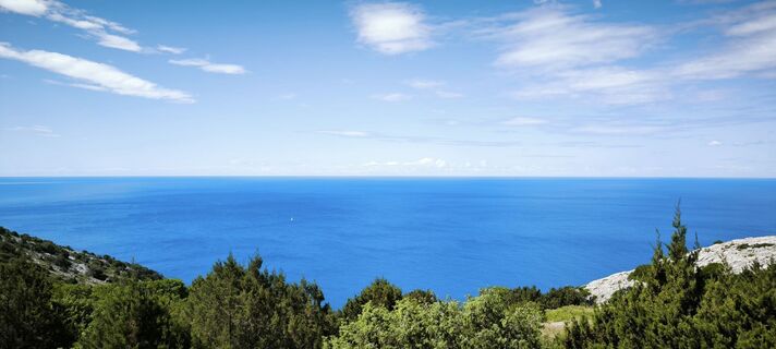 Fotografia z Boris na trase