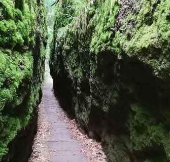 Felswände in der Drachenschlucht im Mariental bei Eisenach