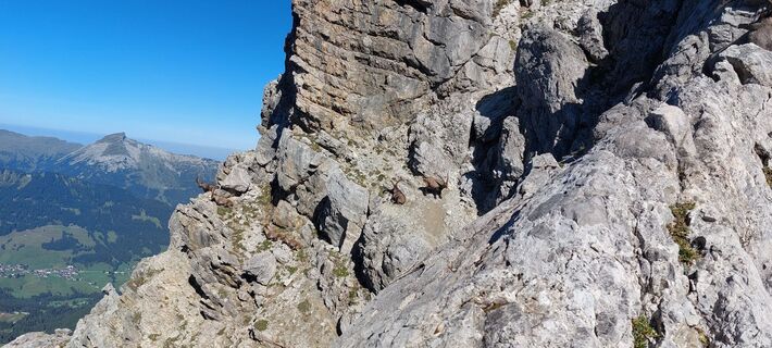 Foto von Thomas Rennert 1 entlang der Tour