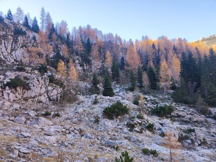 Foto de Matej Mezek a lo largo del recorrido