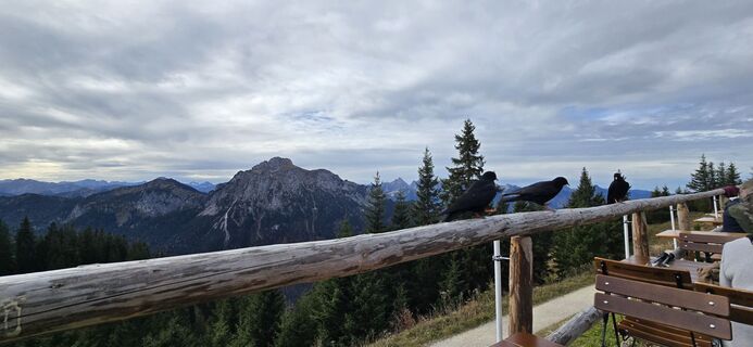 Photo from Tina Langner along the tour