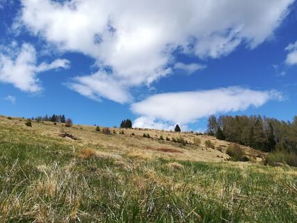 tour 20a - mtb - fohnsdorfer graben bis zur hammerl eckwiese_img_51425945