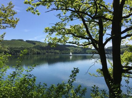 Hennesee