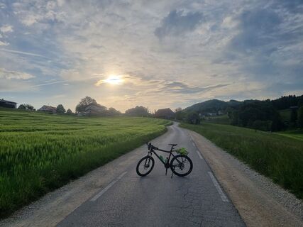Foto von Grizli entlang der Tour