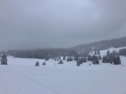 Foto von Markus Glanzmann entlang der Tour
