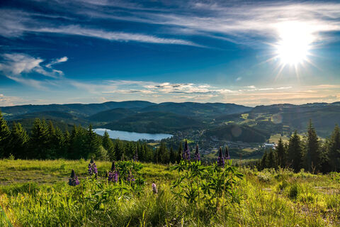 Blick vom Hochfirst