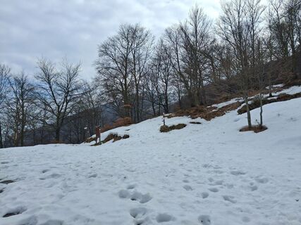 Fotografie z Claudio Dainese na trase