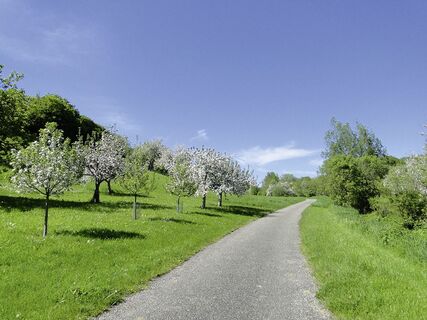 Radweg bei Haslach